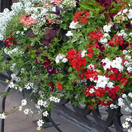 Lägenhet La Fabiola Colmar